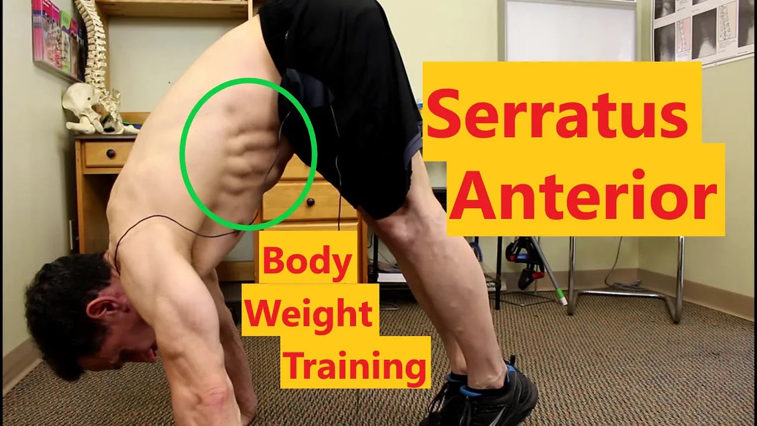 Serratus Anterior Bodyweight Exercises